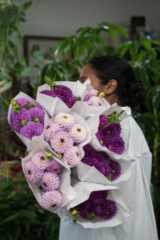 Dahlias Bunch