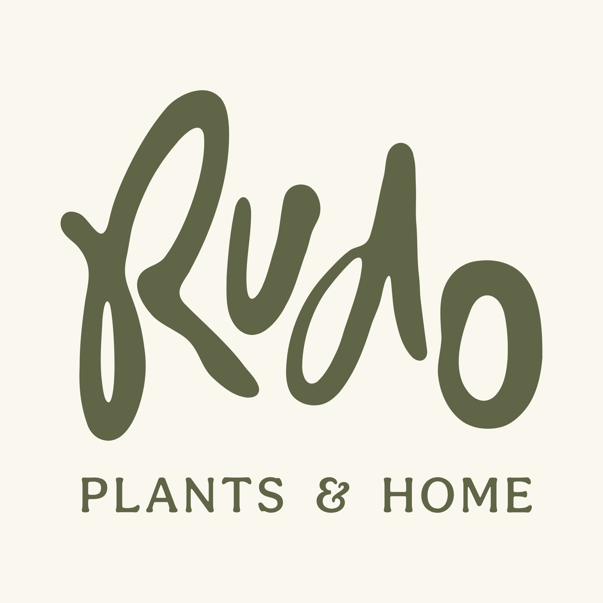 Vases – RUDO PLANTS & HOME