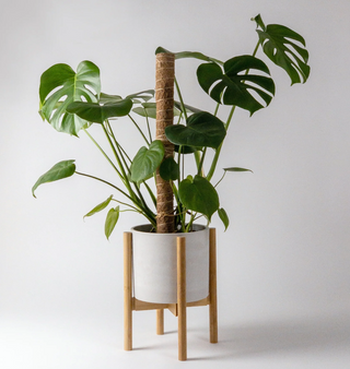 Coco coil pole