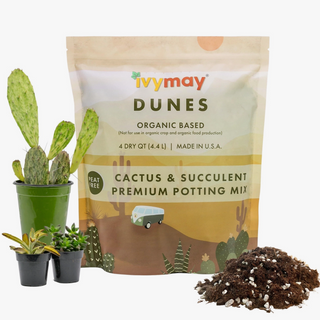Cactus & Succulent Potting Mix