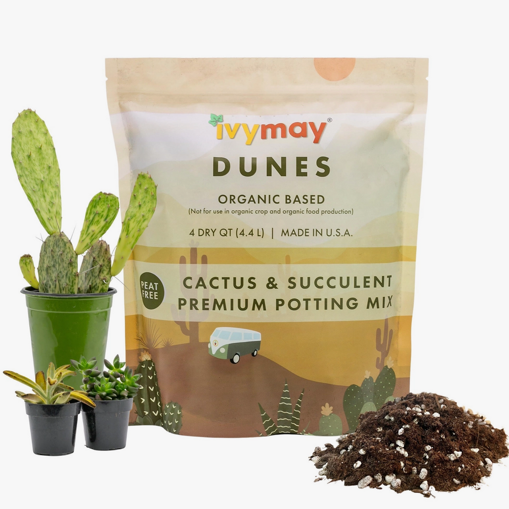 Cactus & Succulent Potting Mix – RUDO PLANTS & HOME