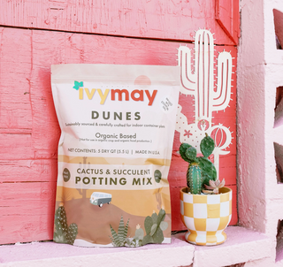 Cactus & Succulent Potting Mix