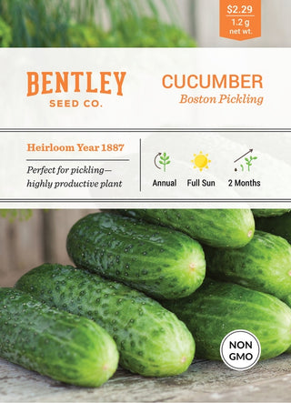 Cucumber-Boston Pickling