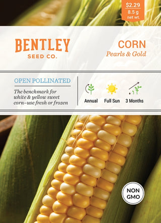 Corn-Pearls & Gold