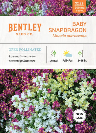 Baby Snapdragon-Mixed-Linaria Maroccana