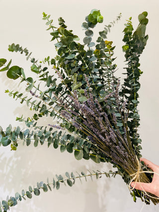 Eucalyptus & Lavender Shower Duo
