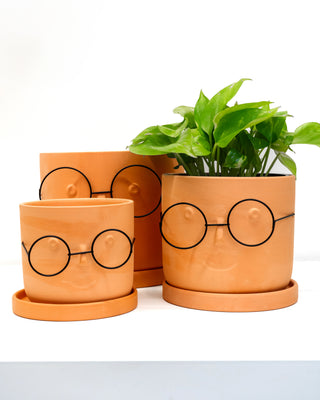 face pots for plants Clay Face Pot – RUDO PLANTS & HOME
