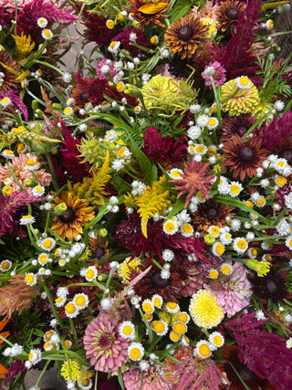 Weekly Flores Bouquet
