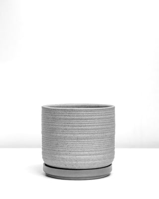 Gray Lined Pot