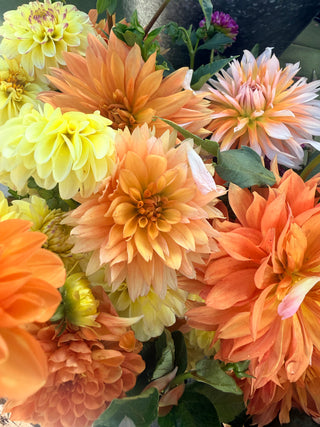 4-Week Flower Subscription