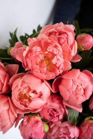 Peonies Bunch