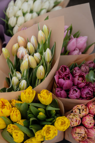 Tulips For Mom!