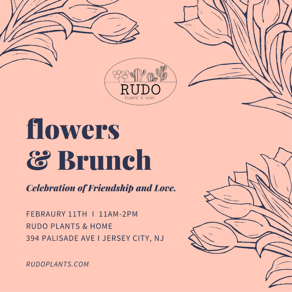 FLOWERS & BRUNCH – RUDO PLANTS & HOME