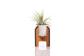 Minimalist Mini Planter Ceramic + Wood Modern Plant Stand