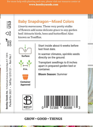 Baby Snapdragon-Mixed-Linaria Maroccana