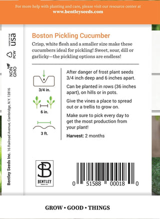 Cucumber-Boston Pickling