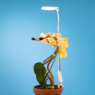 Adjustable Led Plant Light