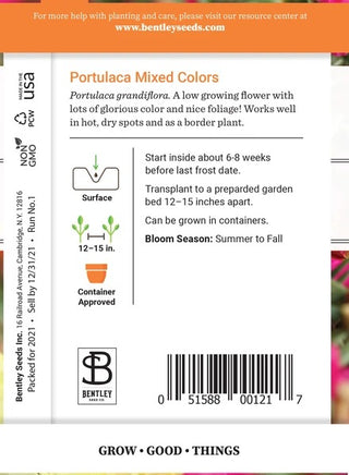Portulaca-Mixed Colors-Portulaca Grandiflora
