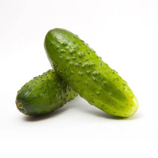 Cucumber-Boston Pickling