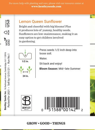 Sunflower-Lemon Queen