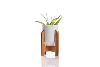 Minimalist Medium Planter / Ceramic Wood Modern Plant Stand