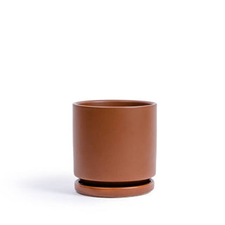 Cylinder Pots with Water Saucers- Momma Pots 4.5”