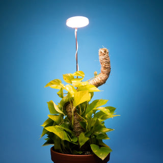 Adjustable Led Plant Light