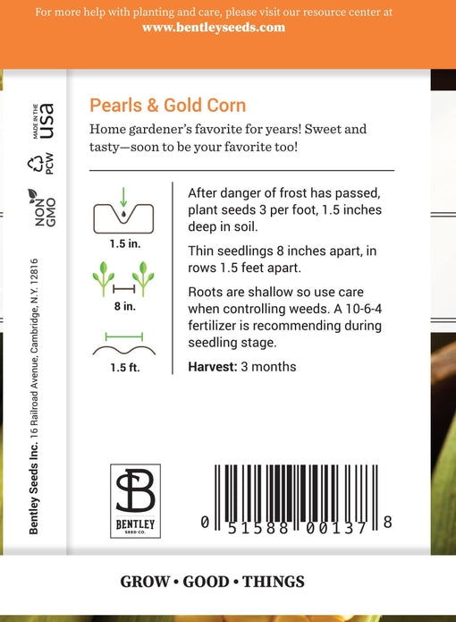 Corn Pearls Gold RUDO PLANTS HOME corn-pearls-gold-rudo-plants-home