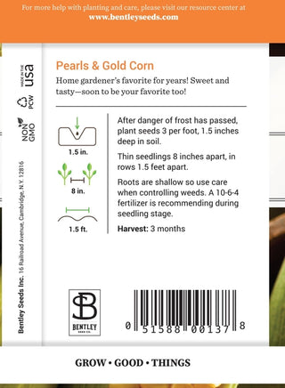 Corn-Pearls & Gold