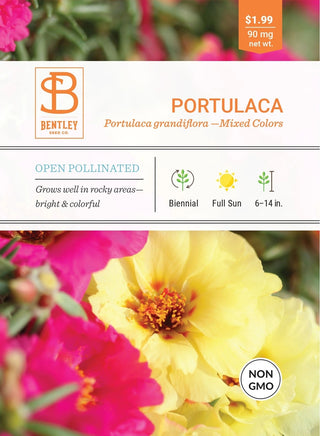 Portulaca-Mixed Colors-Portulaca Grandiflora
